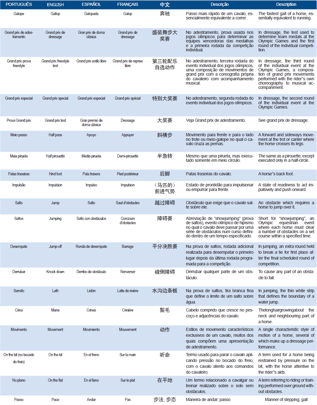 Para tirar onda: aprenda os principais termos do hipismo